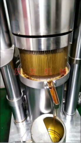 液壓榨油機(jī)-40斤油廠(chǎng)榨油機(jī)-芝麻香油機(jī)出油