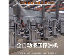 小型立式液壓榨油機的優點-市場認可度好