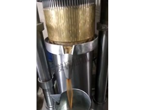 茶籽榨油機-免費安裝調試樂發牌液壓榨油機